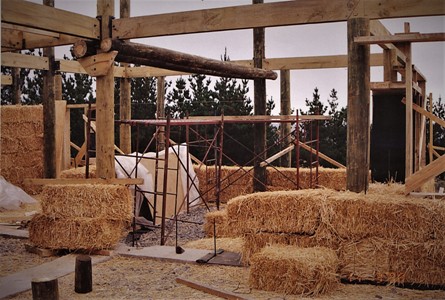 internal walls timber straw bales